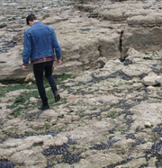 Sander van Dalsum avatar