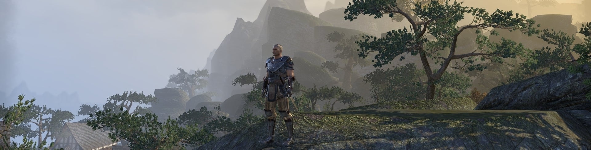The Elder Scrolls Online dagboek: Level 11 t/m 20