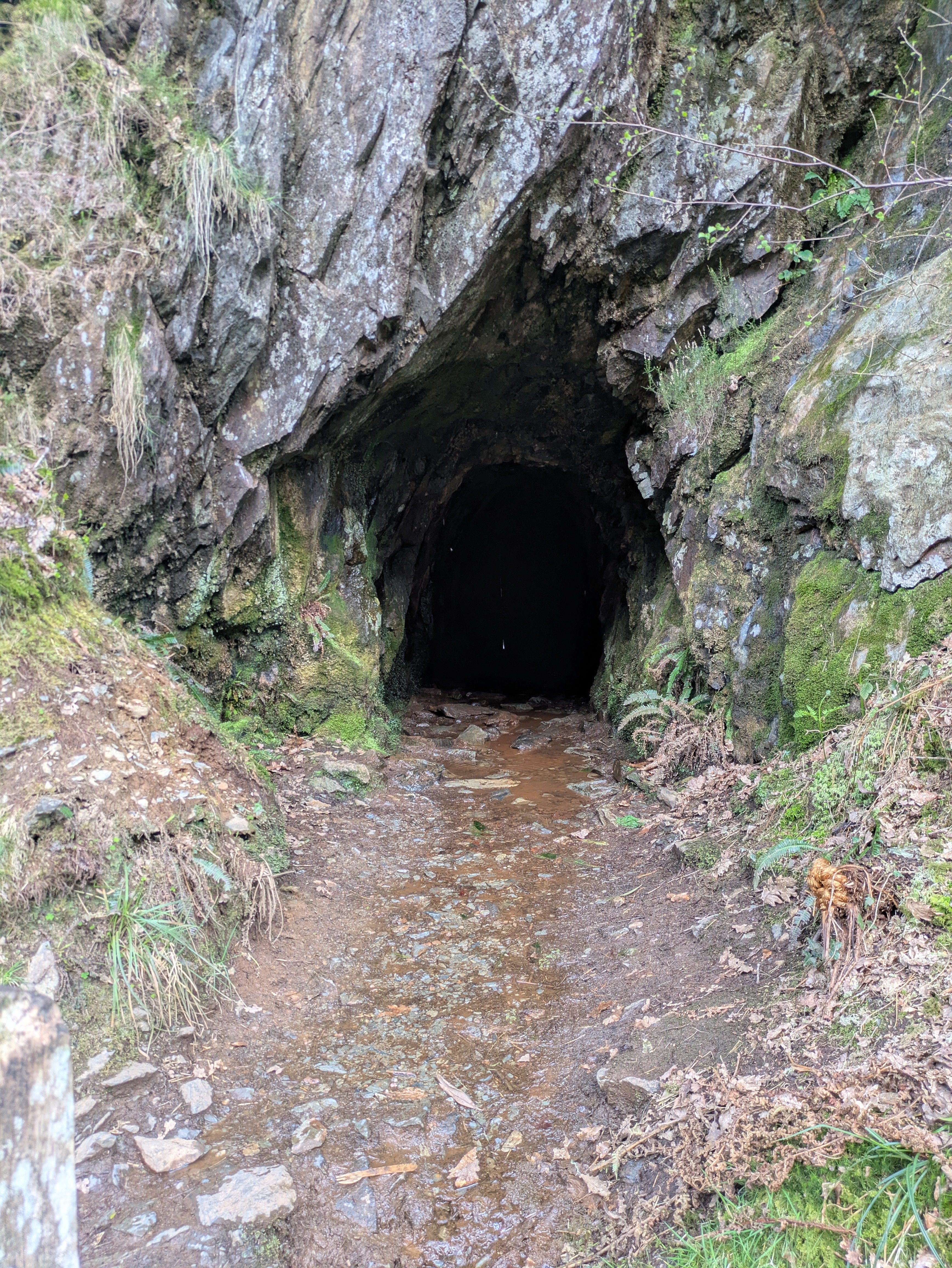 A dark cave mouth with water trickling out of it.