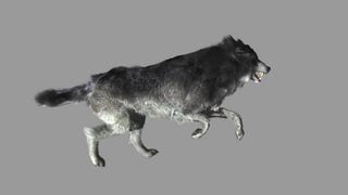 Realistyczne futro zwierząt z Wiedźmina 3 w nowym filmie od Nvidii