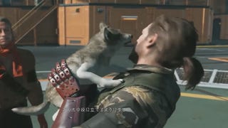 Wilk z przepaską na oko towarzyszem gracza w Metal Gear Solid 5