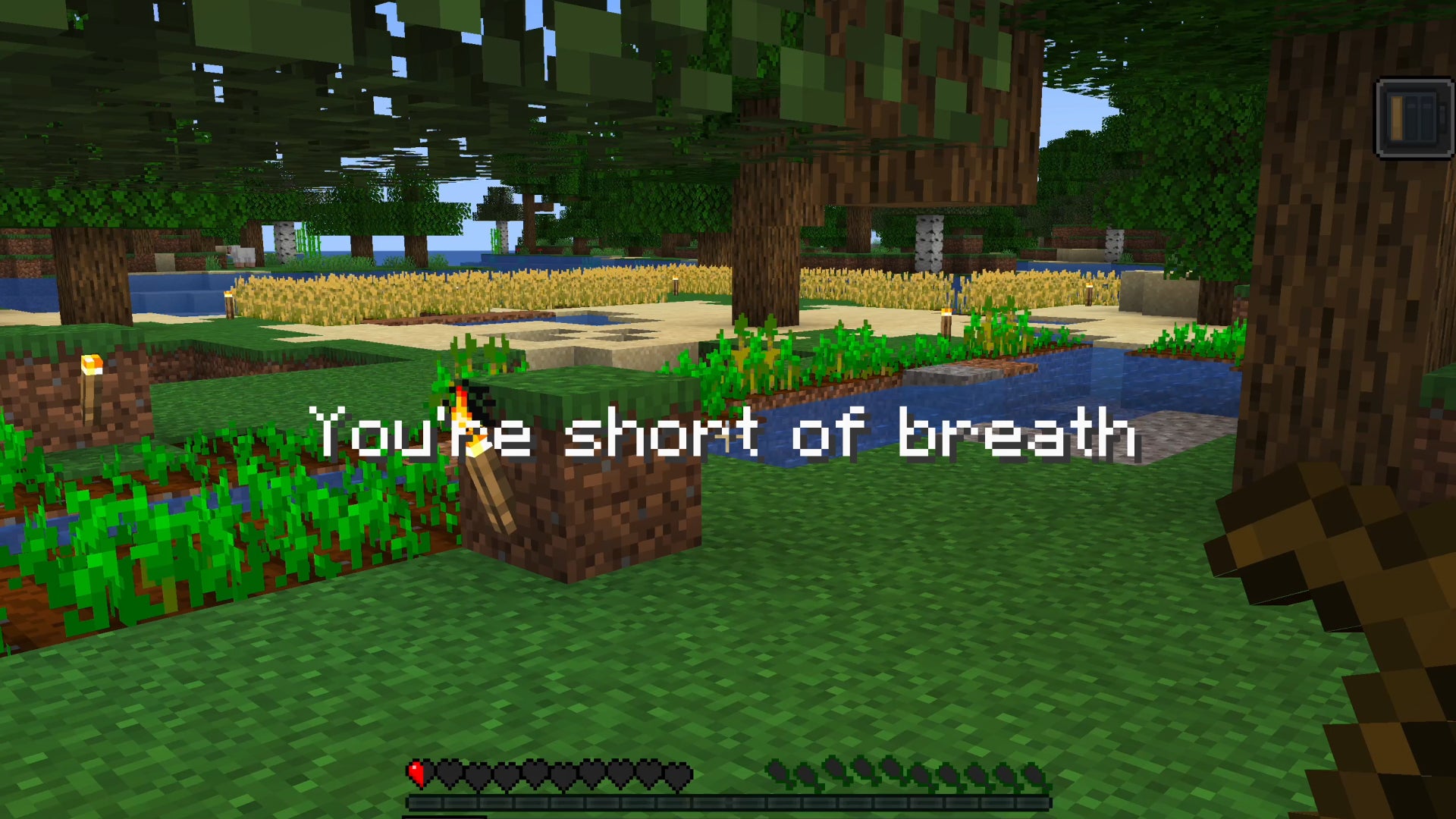 An image of Minecraft, showing how Saint Elmos and Long COVID Europe&rsquo;s long COVID mod recreates symptoms of breathlessness.
