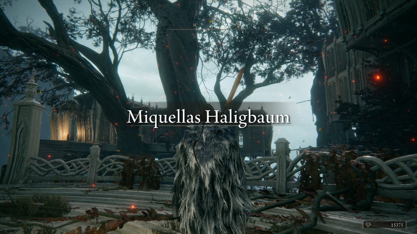 Elden Ring Miquellas Haligbaum Krone, Stadt und Orte der Gnade Eurogamer.de