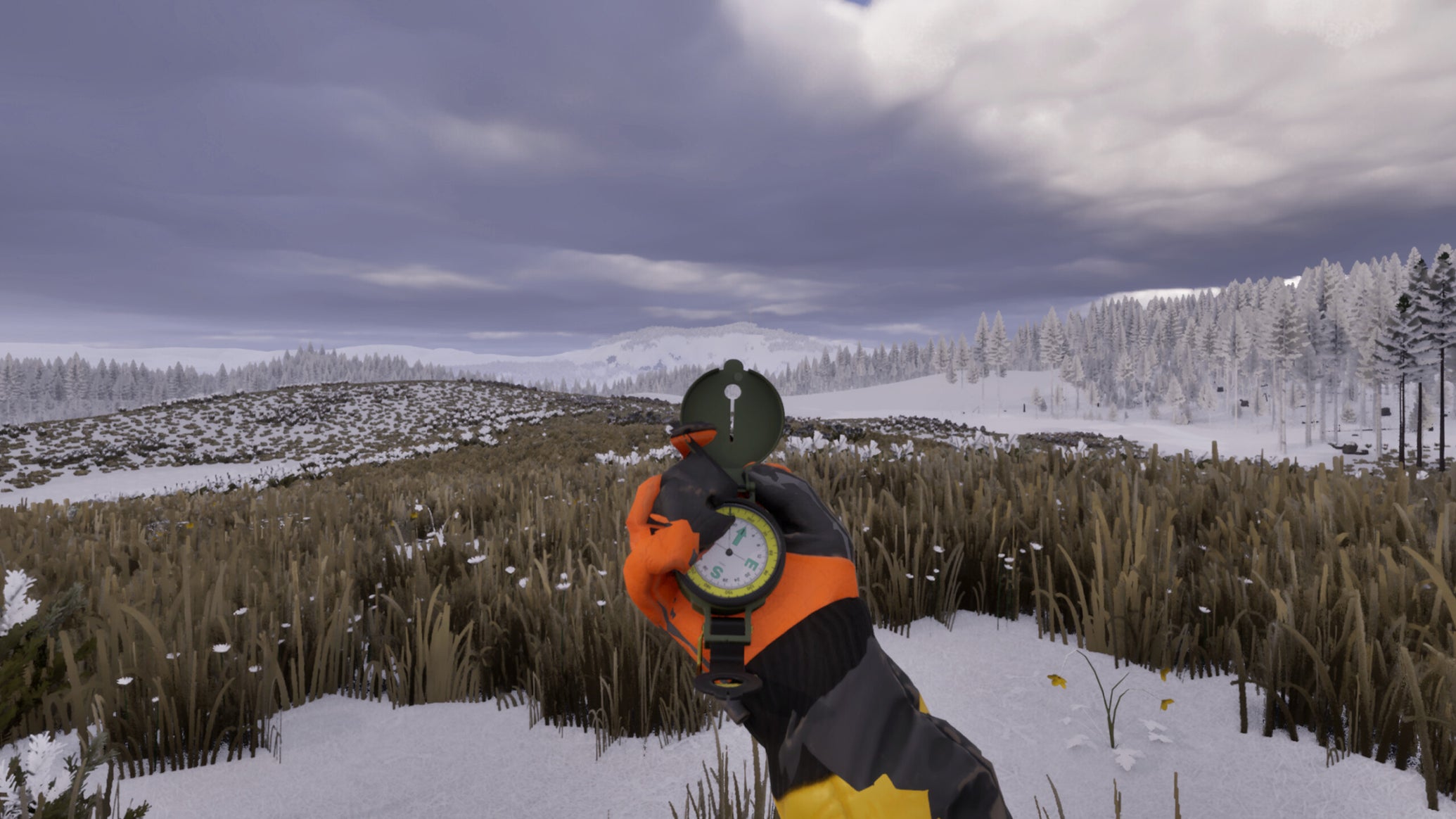 A first-person view of somebody holding out a compass while looking out over a landscape of forest and snow in Prologue: Go Wayback! - 1