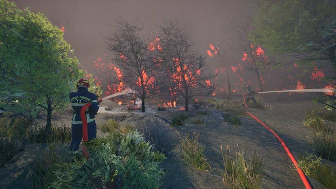 Wildfire