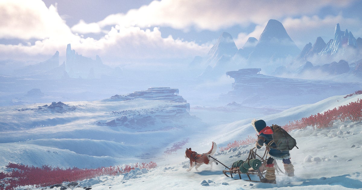 北極圏に行って、あなたのどれが犬か決める時です