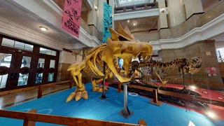 Pokémon Fossil Museum può essere visitato anche senza dover partire per il Giappone!