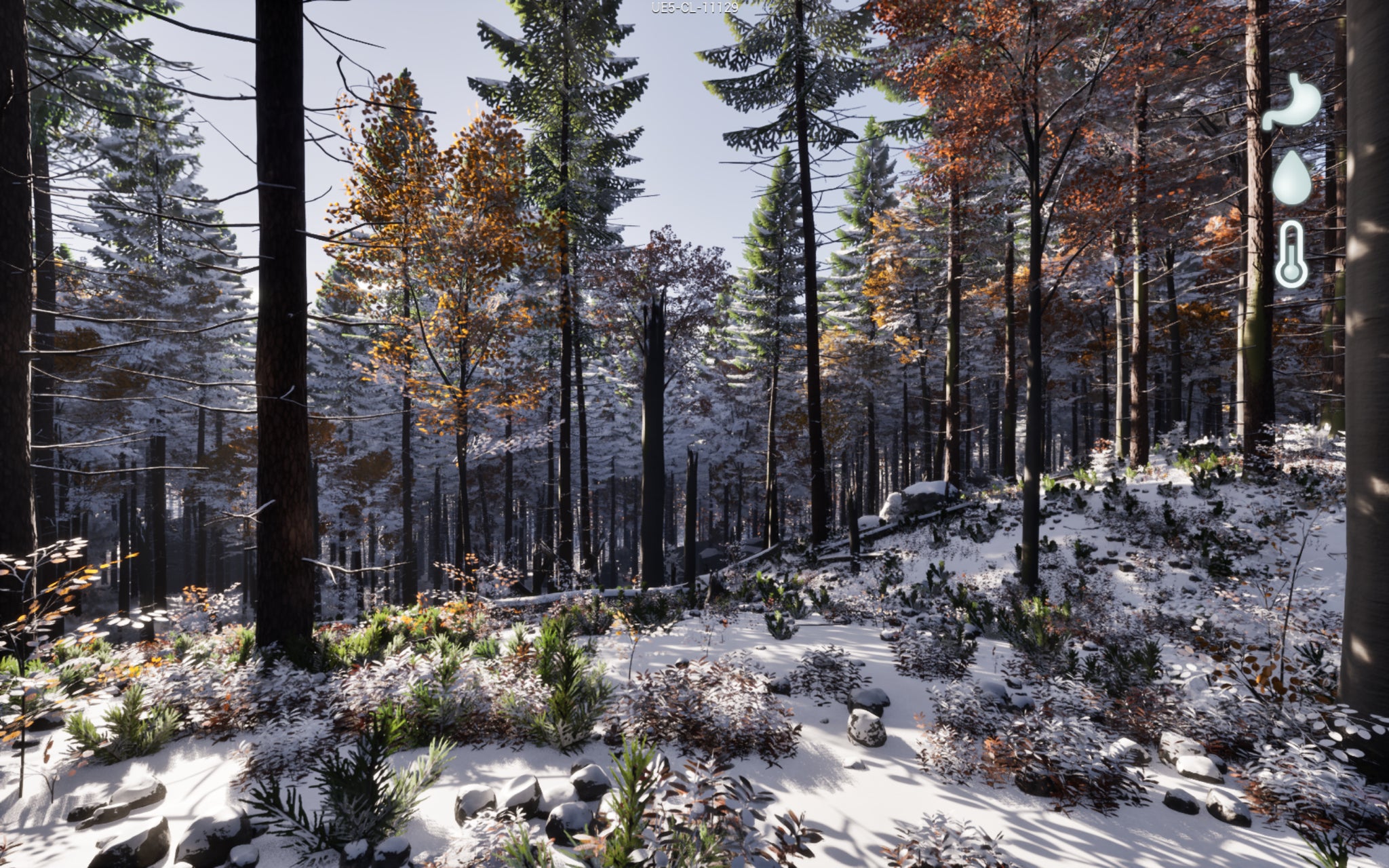 A snowy forest from Prologue: Go Wayback - 3