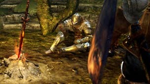 Dark Souls camp fire, health recovery and NPC details