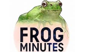 Grasshopper's Frog Minutes due soon, more Japan fundraising