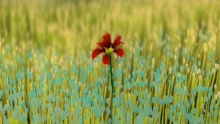 Thatgamecompany's flOw and Flower both topped annual PSN charts