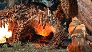 Dragon's Dogma trailer explains Pawn progression