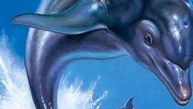 Ecco the Dolphin creator pushing for new game