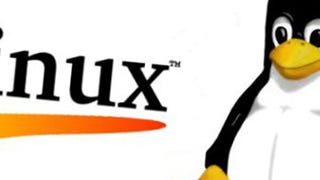 THQ considering Linux support in wake of Humble Bundle