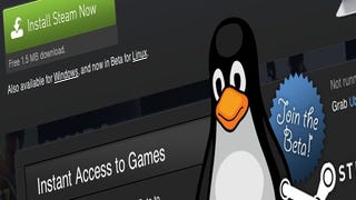Steam for Linux beta now open to all