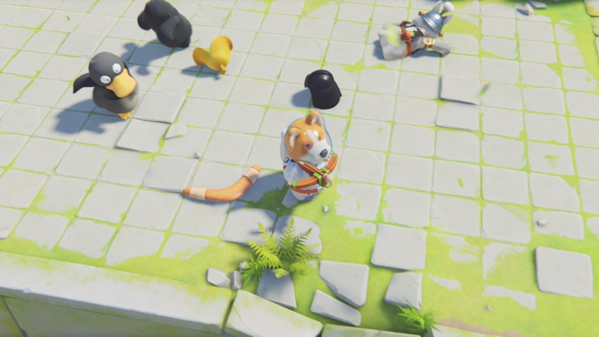 Corgi in the jungle with a crossbow