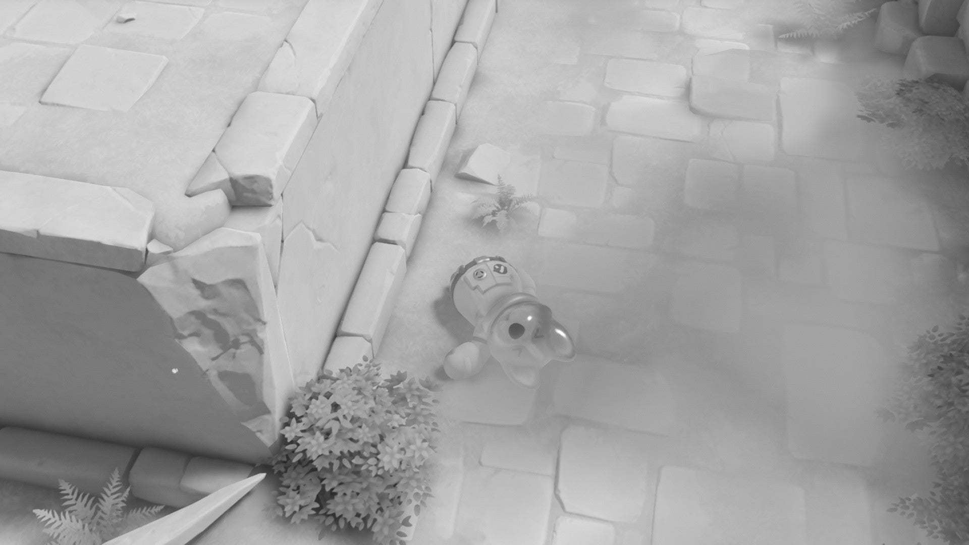 Corgi dead black and white