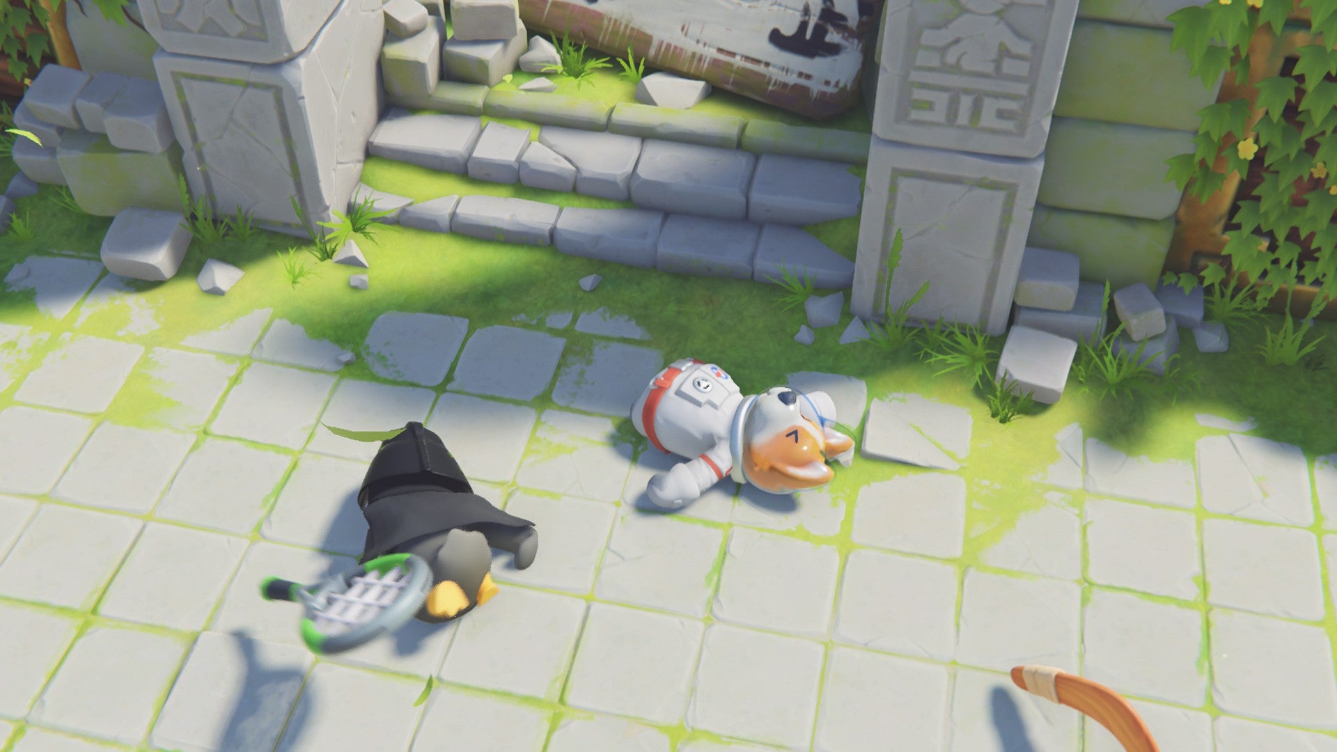 Corgi dead next to a duck in the jungle