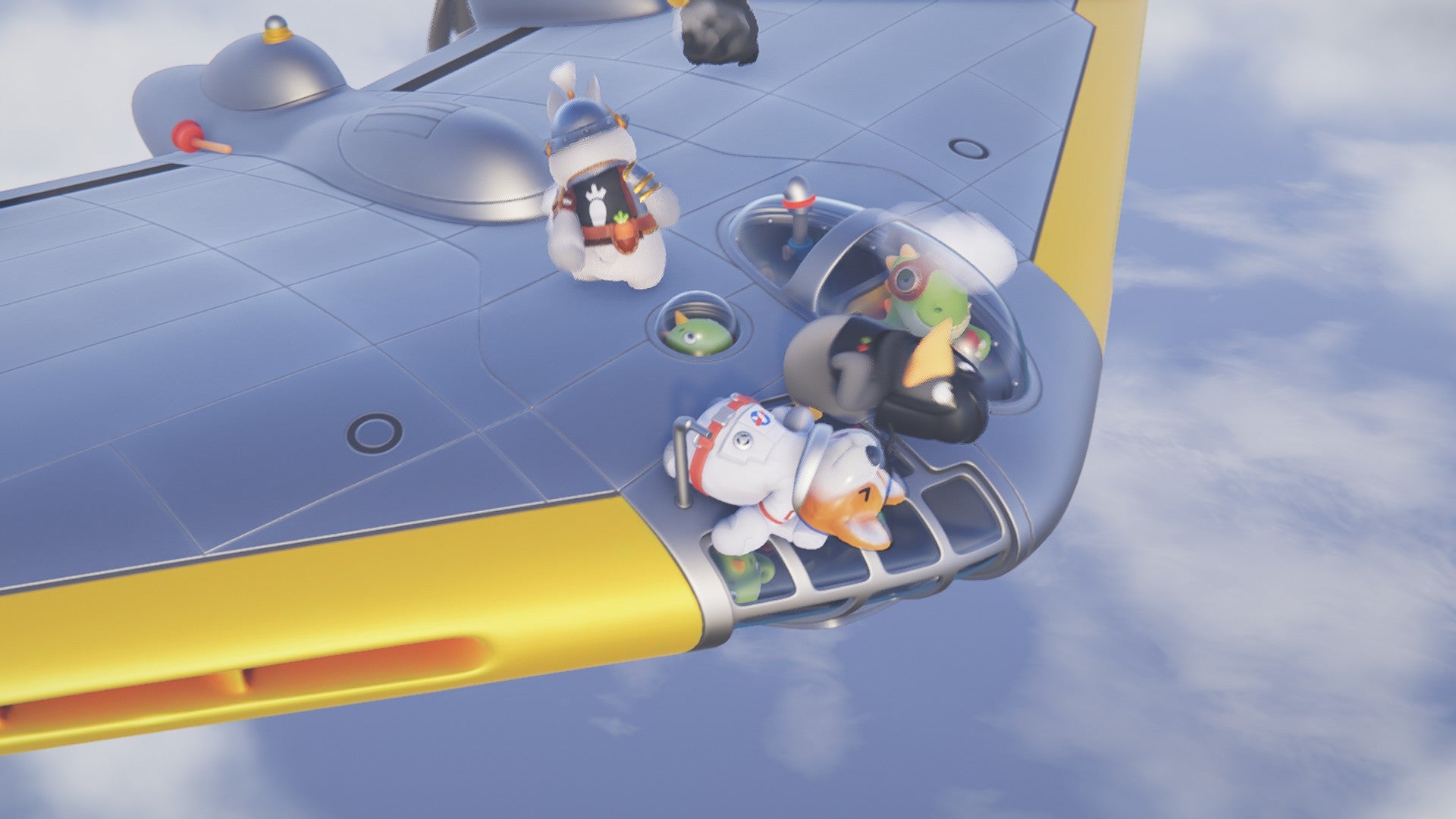 Corgi dead on a plane