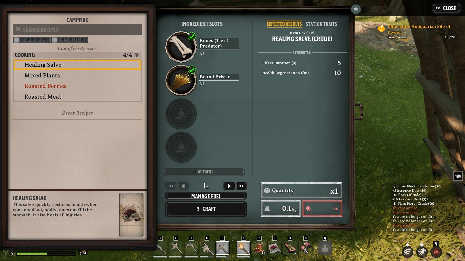 A Healing Salve recipe in Nightingale - 4