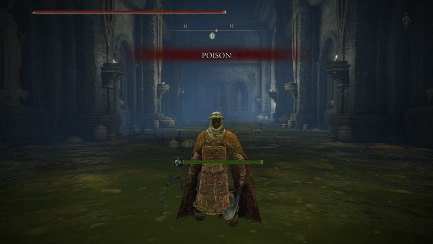 A poisoned player character in Elden Ring.