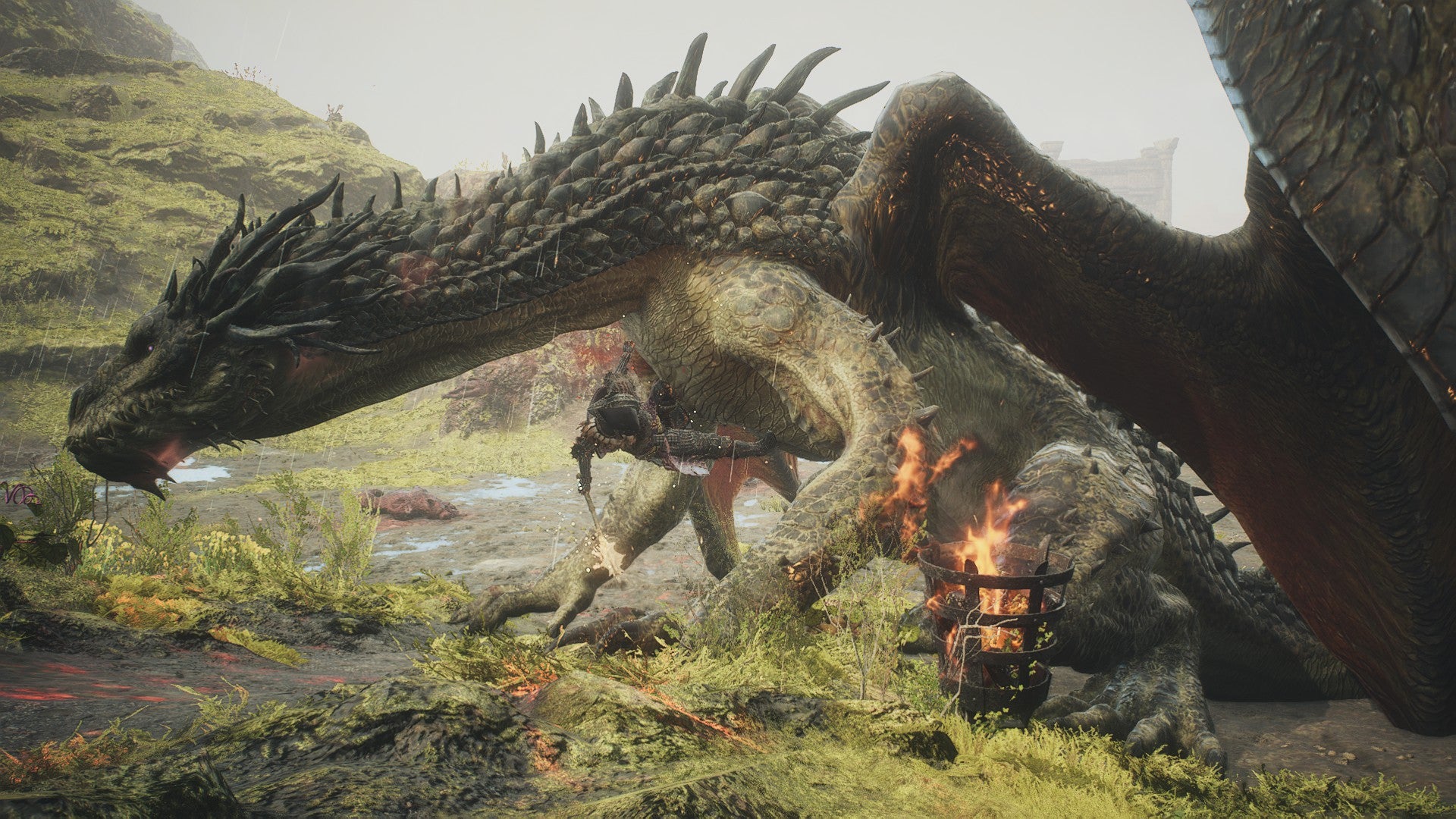 A Fighter attacks at a drake's heart. - 5