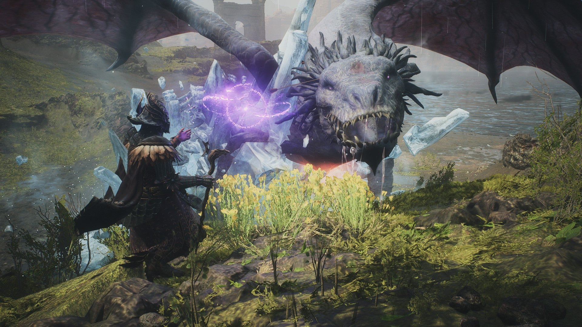 A Sorcerer prepares to unleash a spell on a drake. - 7