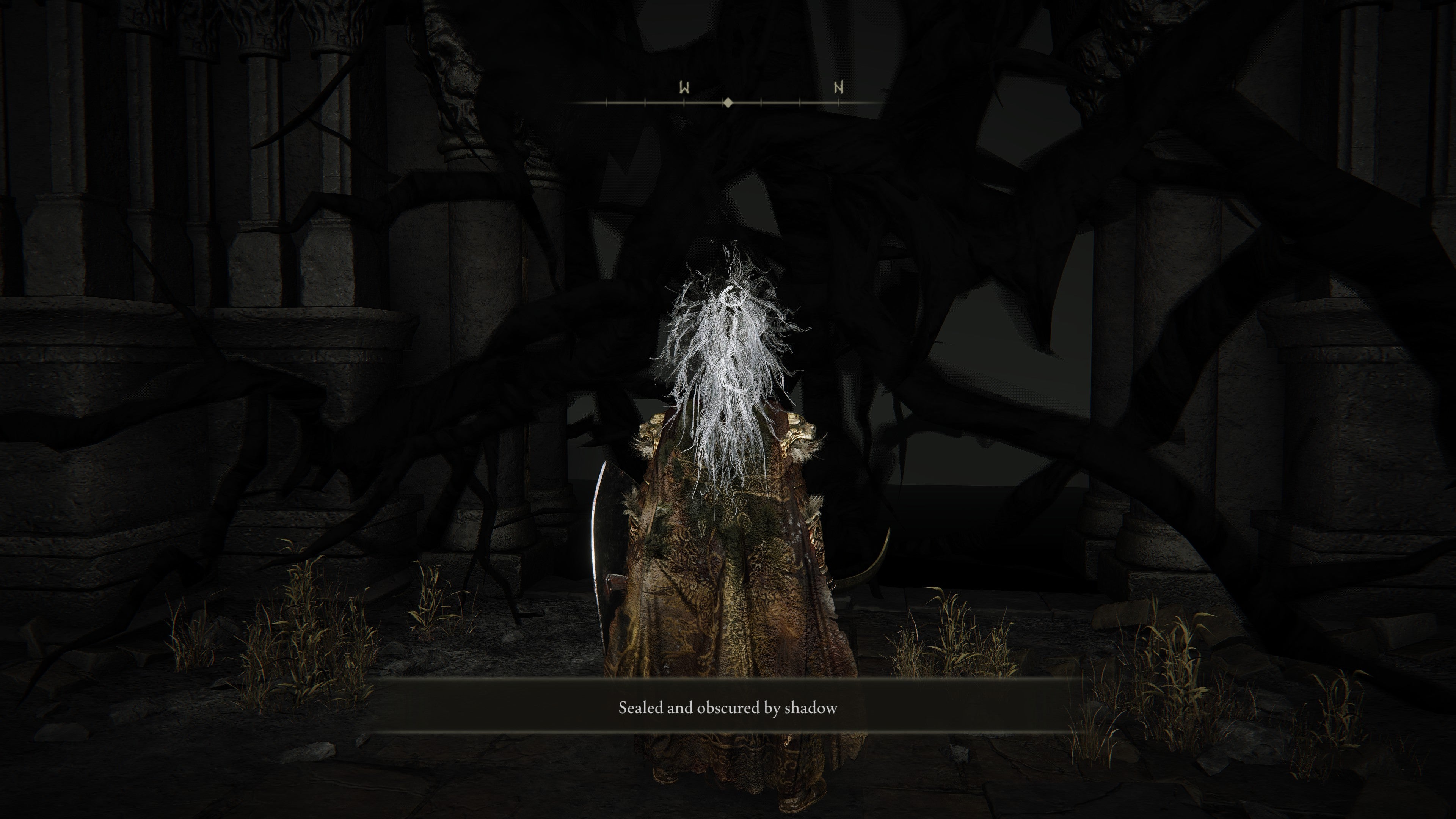 A warrior approaches a door that&rsquo;s obscured by shadow in Shadow of the Erdtree.