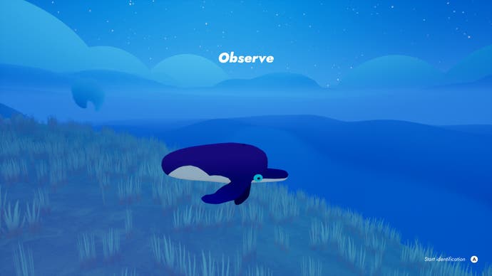 Observing a whale-like creature with a dolphin's nose in Flock.