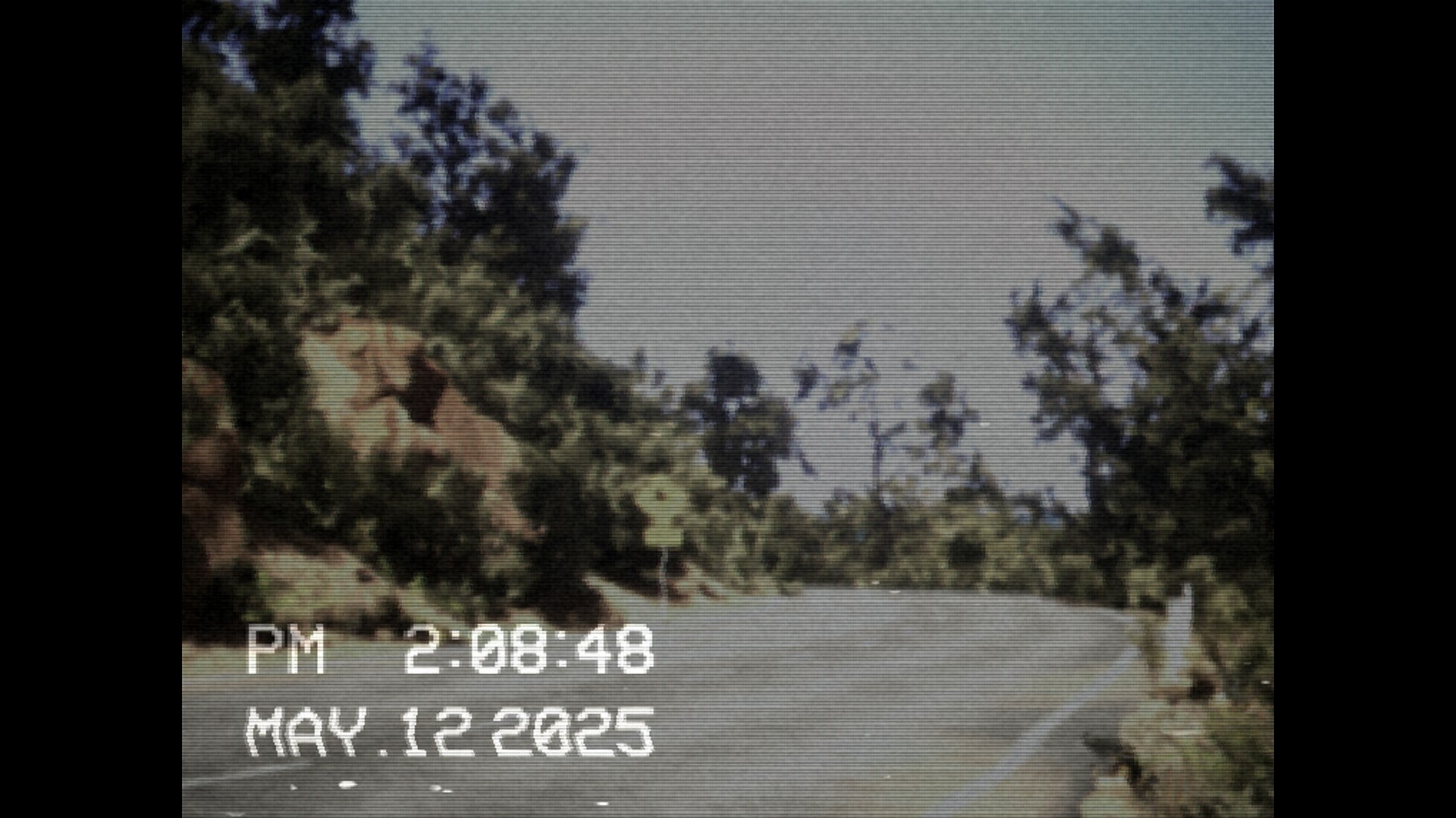 A camcorder view in Lushfoil Photography Sim.