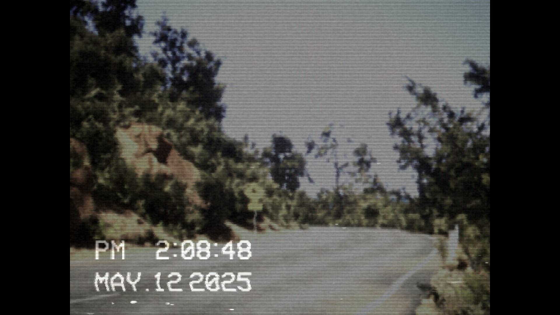 A camcorder view in Lushfoil Photography Sim.