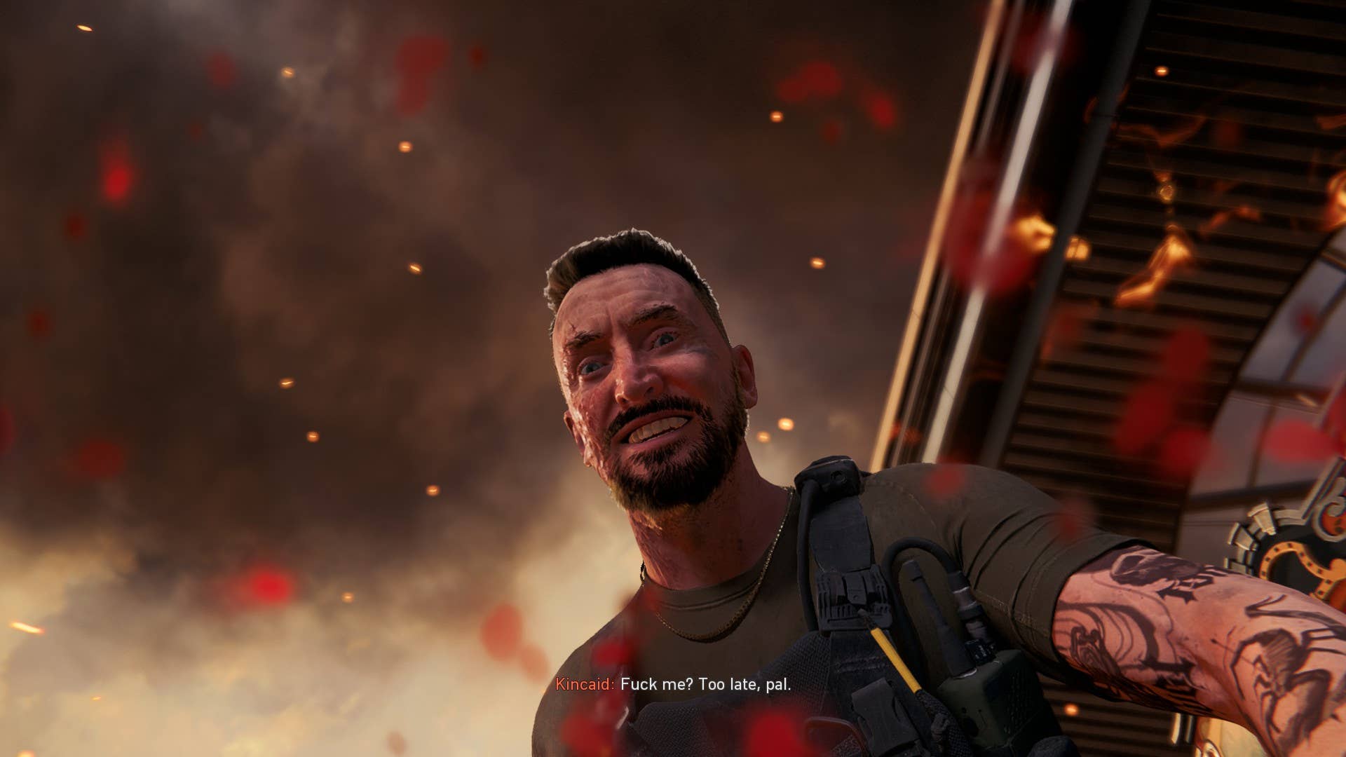 A view of a grinning bearded man looking down at you while saying
