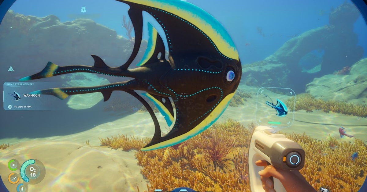 "We will probably get some flack": Subnautica 2 may feel polished for an early access game, but it was important for the team it launched unfinished