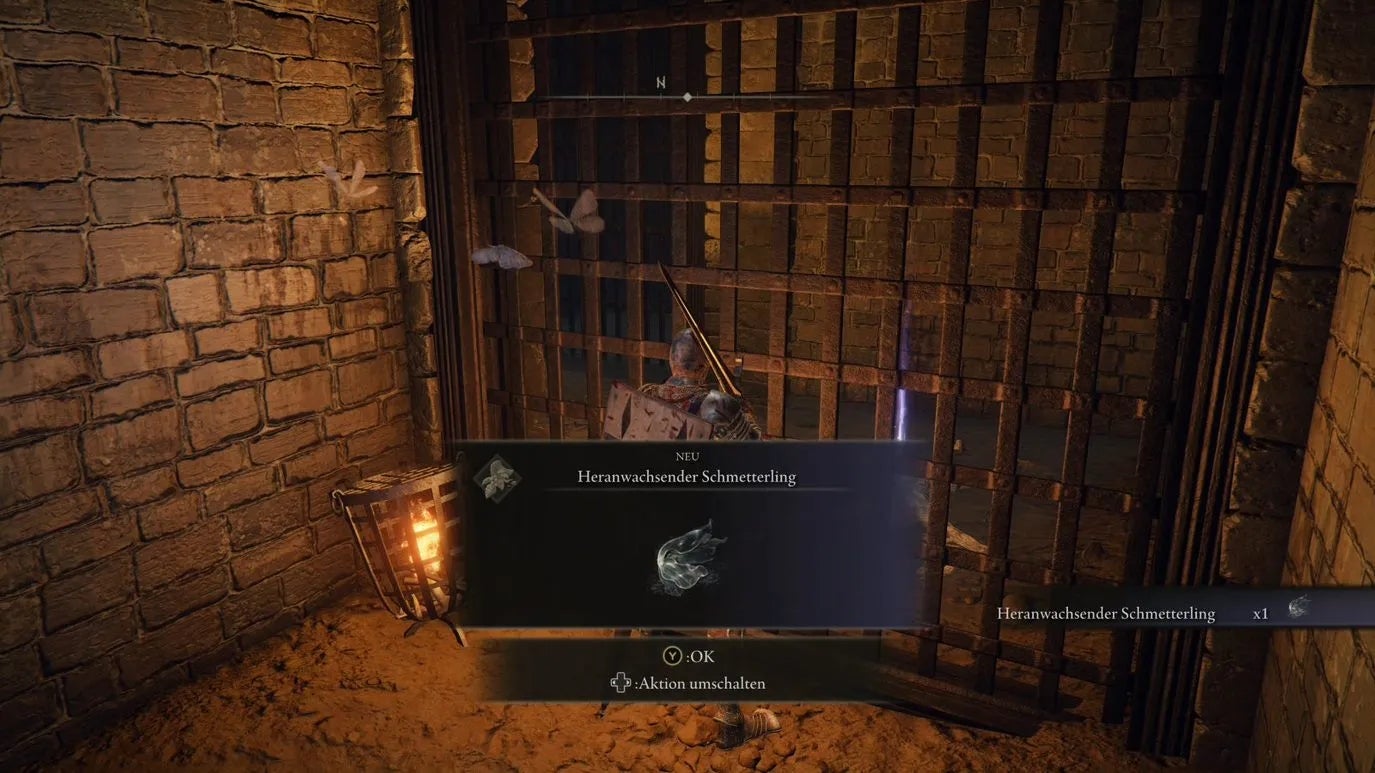 An iron gate inside the sewers of the Royal Capital.