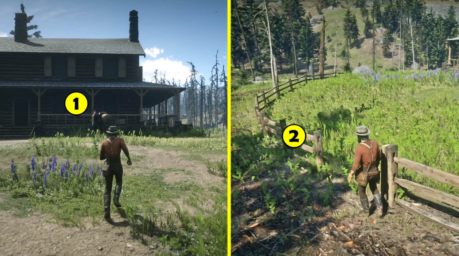 Red Dead Redemption 2 - Macierzyństwo; Dom szlachty? | Eurogamer.pl