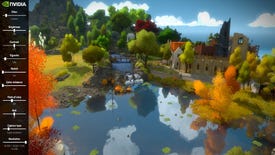Photographic Evidence: The Witness Adds Ansel Support