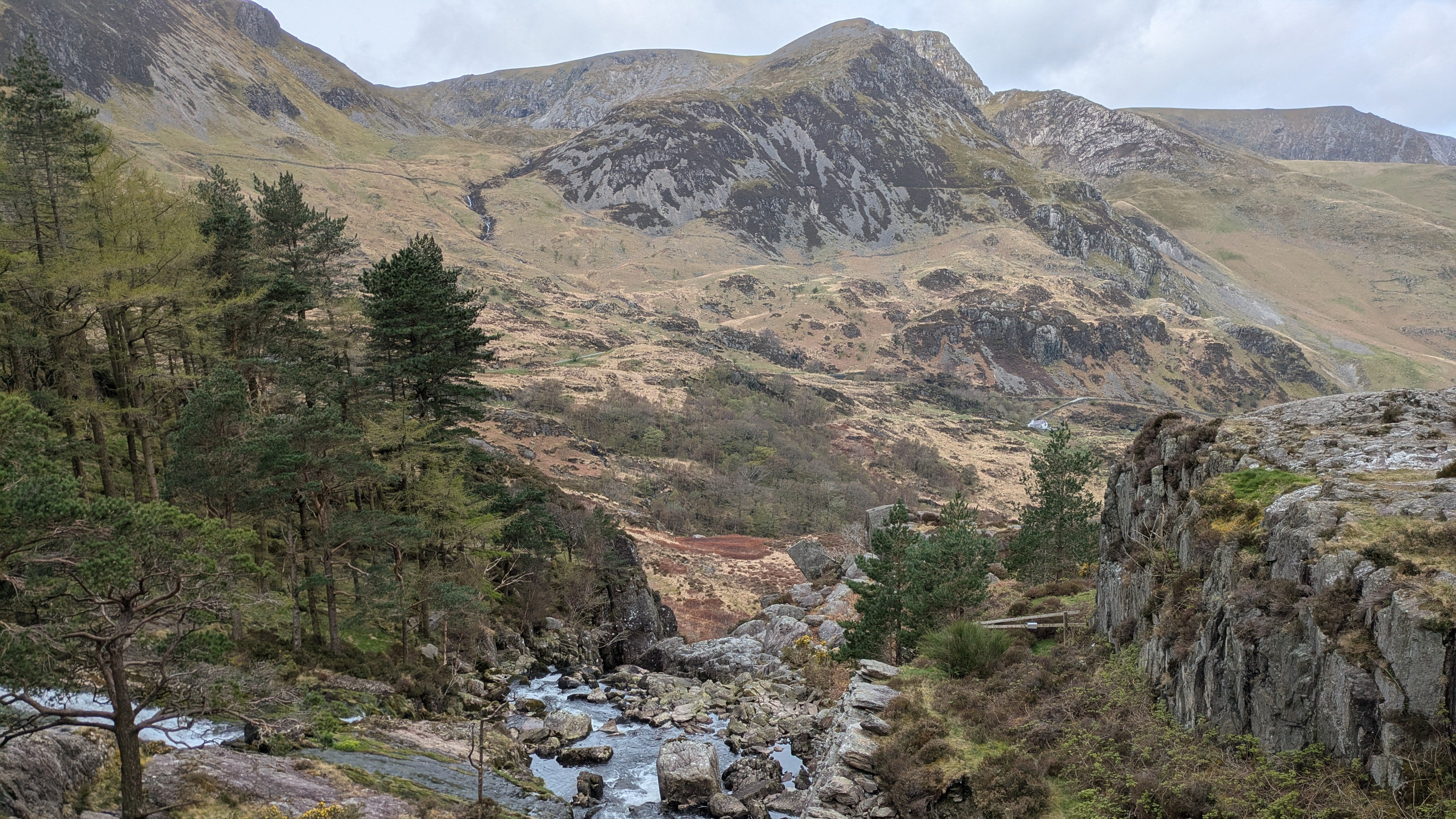 A view down a rocky stream among trees towards dramatic mountains in Wales.