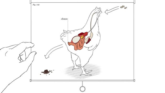 A diagram of a chicken’s eating and excretion, from a Giant Sparrow game concept art
