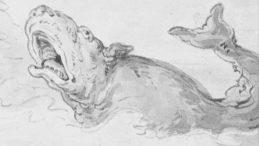 An 18th century pencil drawing of a whale