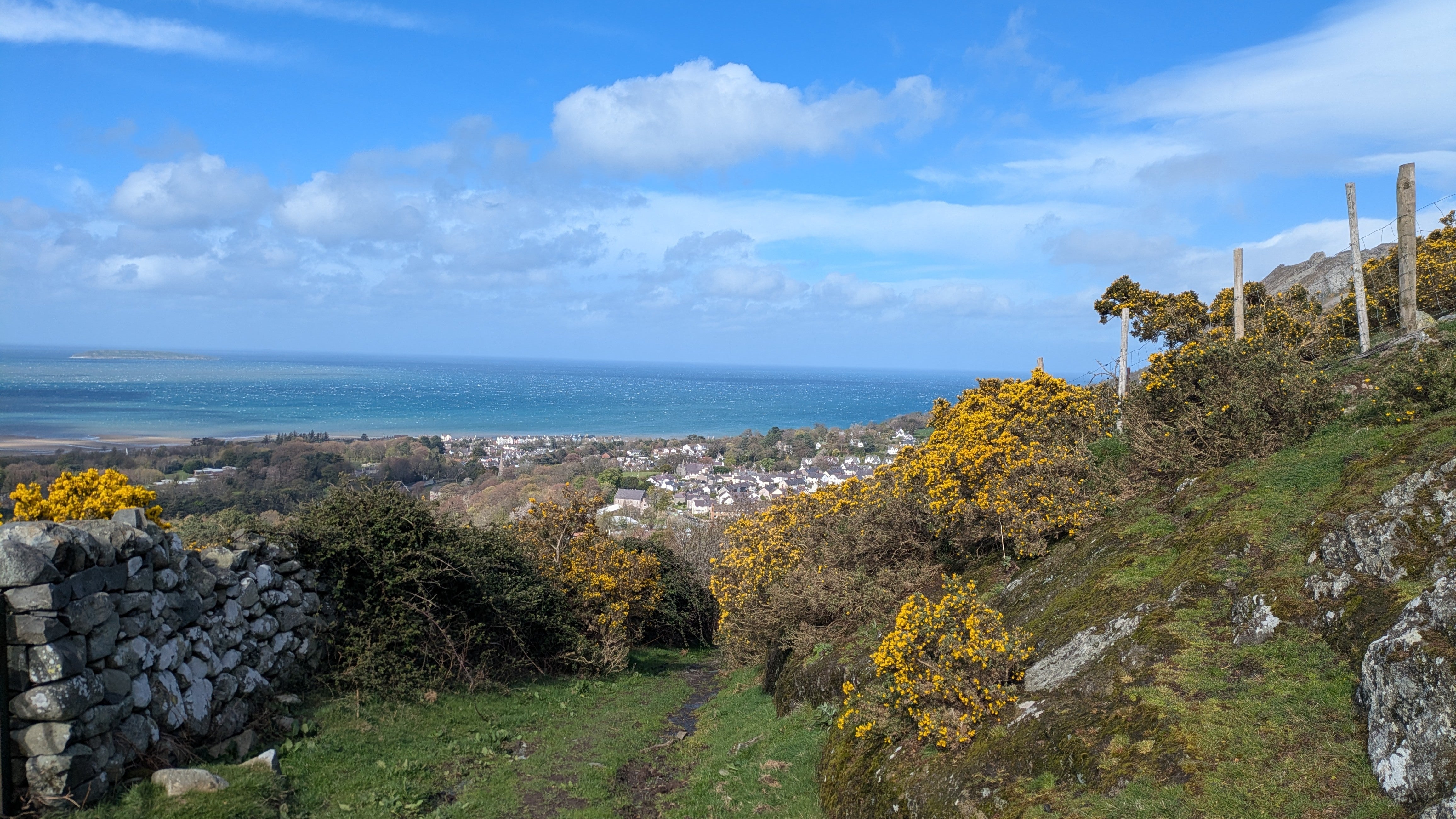 A view down a path bordered by a drystone wall and gorse bushes towards a coastal town on a sunny day.