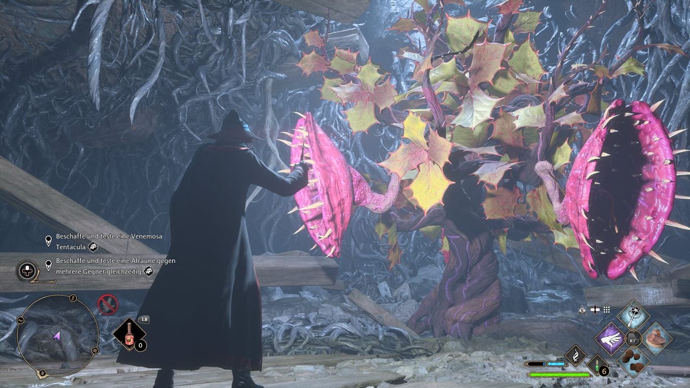 Hogwarts Legacy Professor Garlicks Aufgabe 1, 2 Alraune, Venemosa Tentacula, Flussgras finden