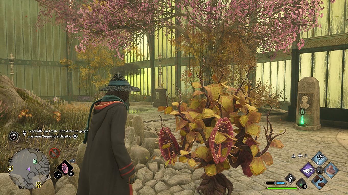 Professor Garlick's Assignment 1, 2 - Mandrake, Venomous Tentacula en Fluxweed vinden