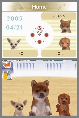 Nintendogs: Chihuahua and Friends | Eurogamer.net