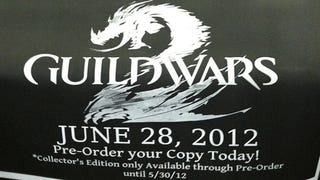 Guild Wars 2 na konec června nepotvrzeny