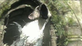 Sony US and UK teams helping out on The Last Guardian