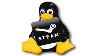 Steam a Source Engine míří na Linux