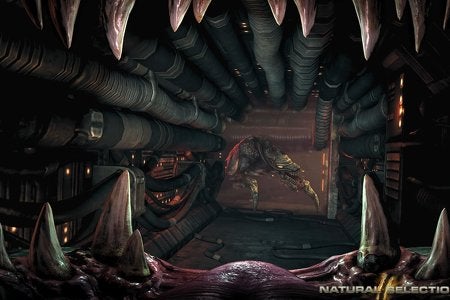 Watch the Natural Selection 2 Rezzed developer session