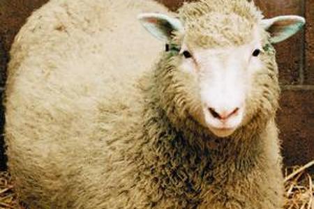 Apple bant klonen van App Store games