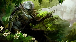 Guild Wars 2 WVW server battles take 2 weeks, maps support 300+ players