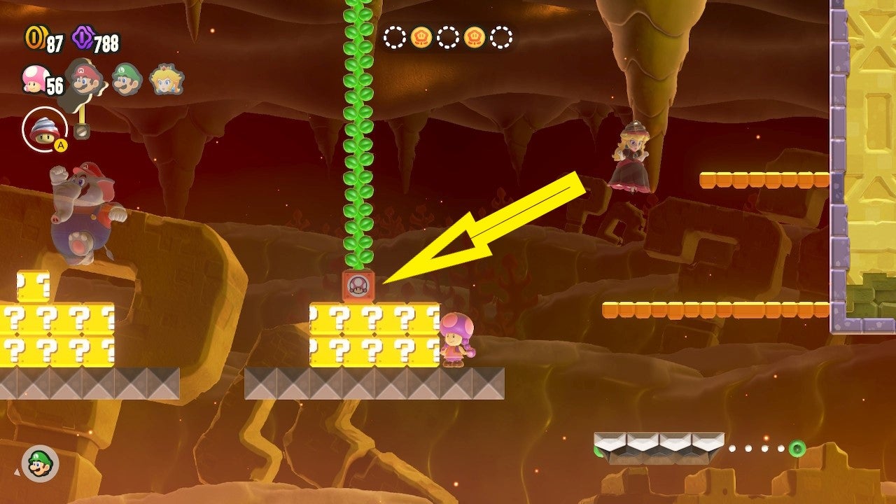 Super Mario Bros. Wonder Rätsel der Röhren und Items (Suchtrupp) So findet ihr die